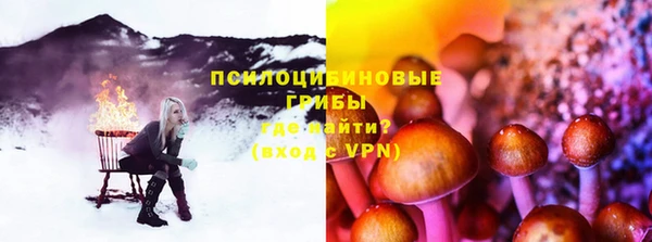 PSILOCYBIN Богородицк