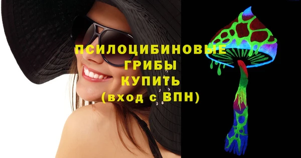 эйфоретик Богородск
