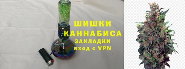 PSILOCYBIN Богородицк