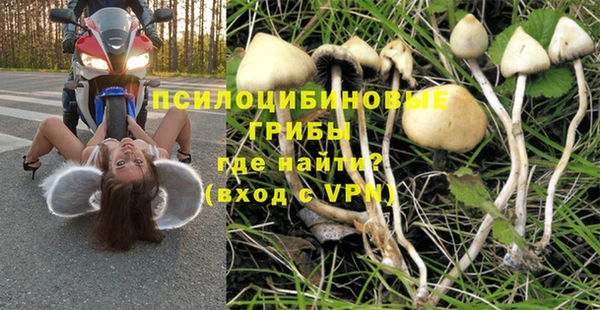 ешки Беломорск