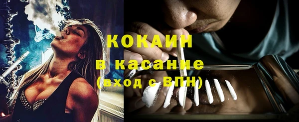 PSILOCYBIN Богородицк