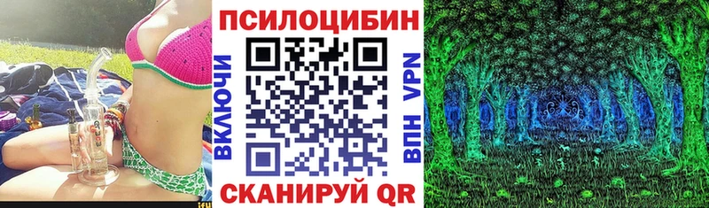Псилоцибиновые грибы мицелий сайты даркнета клад Новоульяновск гидра вход
